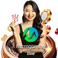 MICROGAMING LC